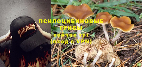 СК Верхний Тагил