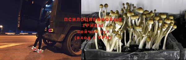 СК Верхний Тагил