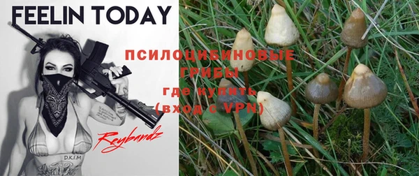 COCAINE Верхнеуральск