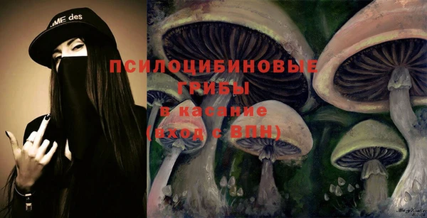 тгк Верея