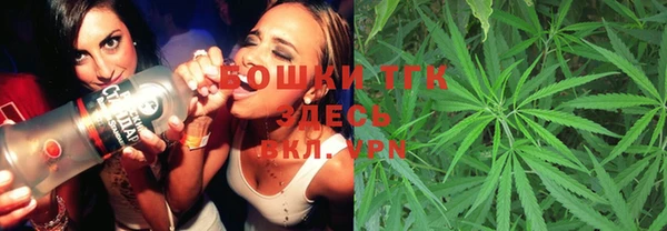 СК Верхний Тагил